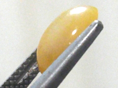 本翡翠　ルース4