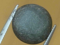  ルース6