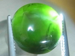  ルース5