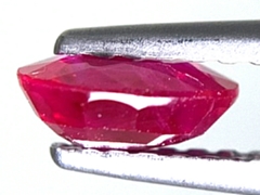 スタールビー　ルース