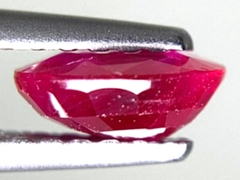 スタールビー　ルース